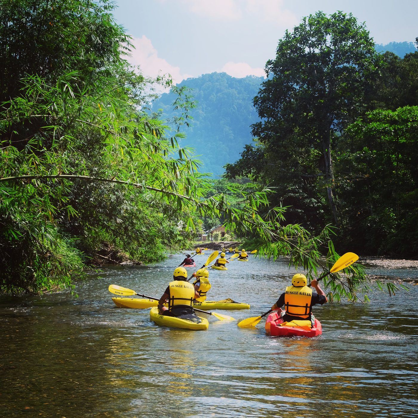 Group of kayakers paddling through bamboo on the Landak River