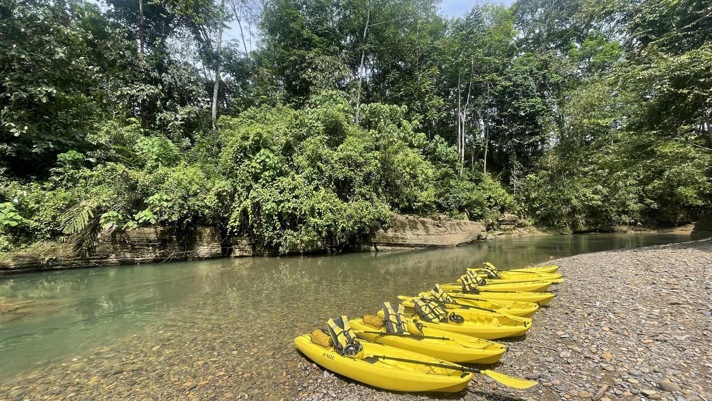 A vibrant display of fresh tropical fruits — watermelon, salak, passionfruit, banana, papaya, mandarin — beautifully arranged on banana leaves for paddlers' lunch